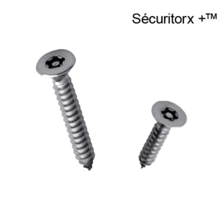 Tamper resistant screw Securitorx+ - Chassitech